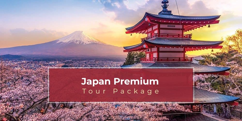 Premium Japan Tour Package